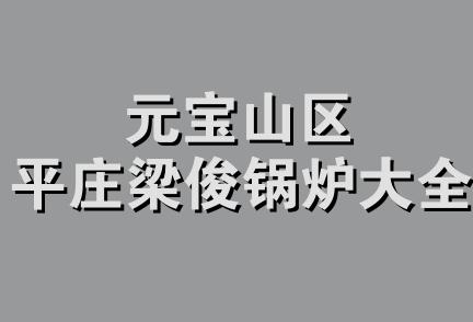 元宝山区平庄梁俊锅炉大全