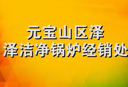 元宝山区泽泽洁净锅炉经销处