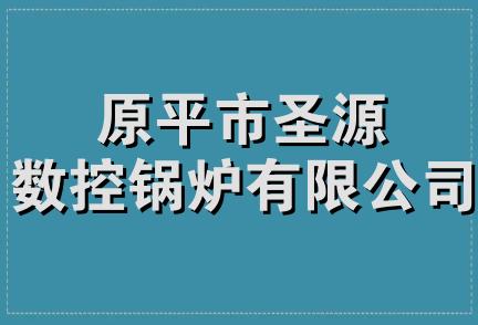 原平市圣源数控锅炉有限公司