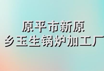 原平市新原乡玉生锅炉加工厂