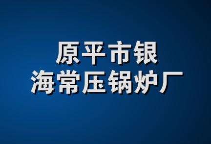 原平市银海常压锅炉厂