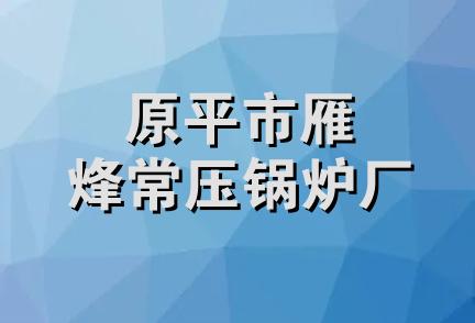 原平市雁烽常压锅炉厂