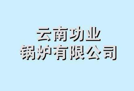 云南功业锅炉有限公司