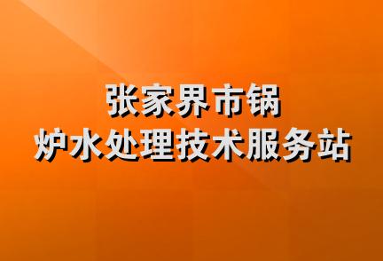 张家界市锅炉水处理技术服务站