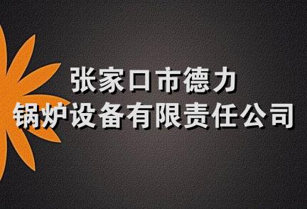 张家口市德力锅炉设备有限责任公司