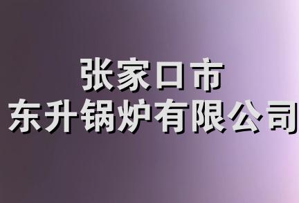 张家口市东升锅炉有限公司