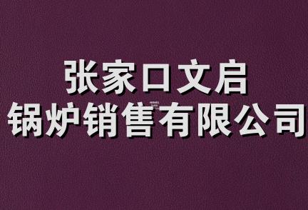 张家口文启锅炉销售有限公司