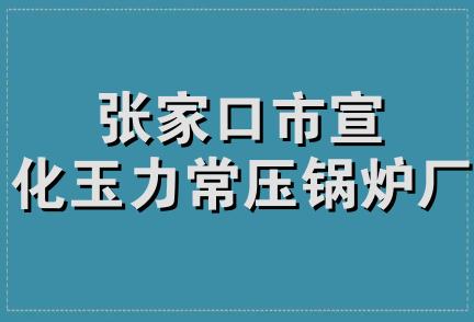 张家口市宣化玉力常压锅炉厂