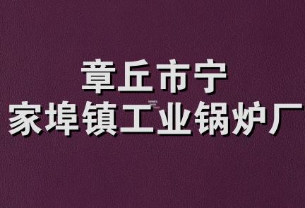 章丘市宁家埠镇工业锅炉厂