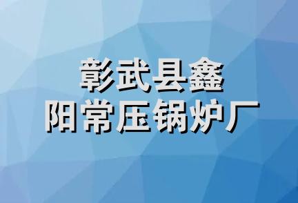 彰武县鑫阳常压锅炉厂