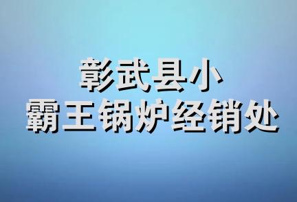 彰武县小霸王锅炉经销处