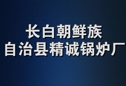 长白朝鲜族自治县精诚锅炉厂