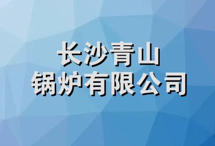 长沙青山锅炉有限公司