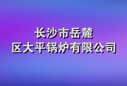 长沙市岳麓区大平锅炉有限公司