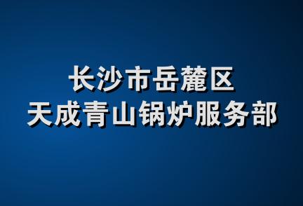 长沙市岳麓区天成青山锅炉服务部