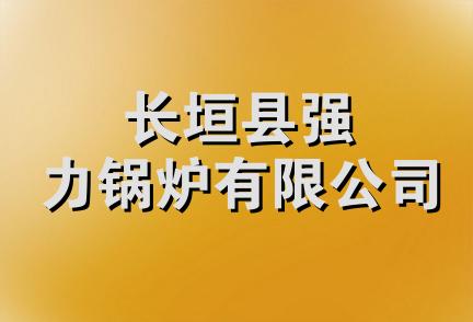 长垣县强力锅炉有限公司