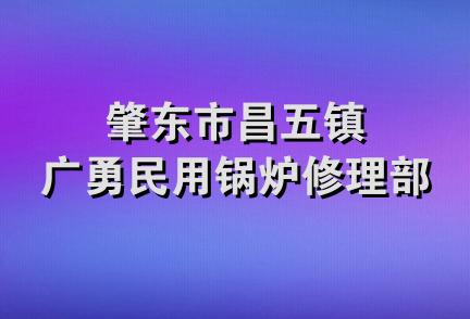 肇东市昌五镇广勇民用锅炉修理部