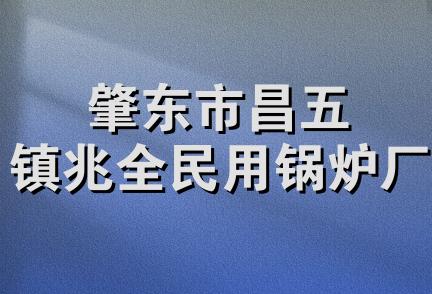 肇东市昌五镇兆全民用锅炉厂