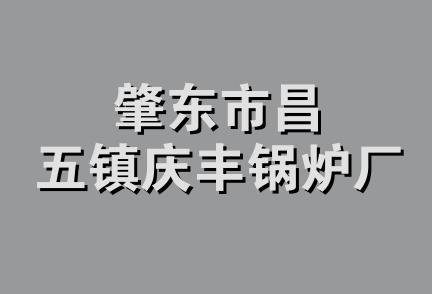 肇东市昌五镇庆丰锅炉厂