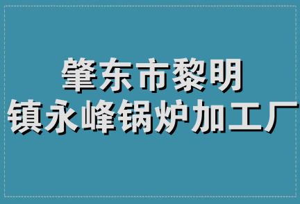 肇东市黎明镇永峰锅炉加工厂