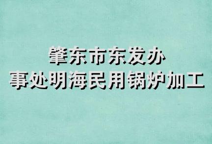 肇东市东发办事处明海民用锅炉加工部