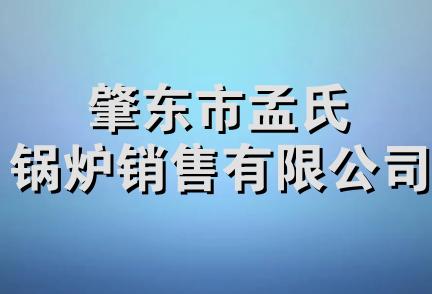 肇东市孟氏锅炉销售有限公司