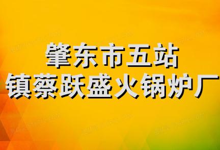 肇东市五站镇蔡跃盛火锅炉厂