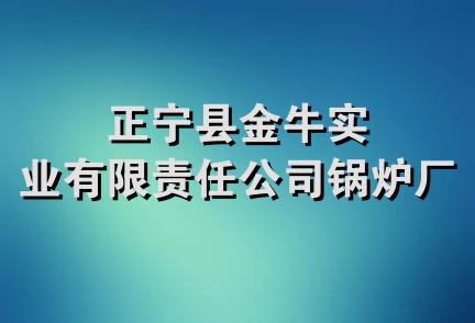 正宁县金牛实业有限责任公司锅炉厂