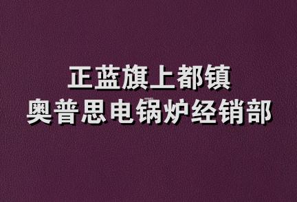 正蓝旗上都镇奥普思电锅炉经销部