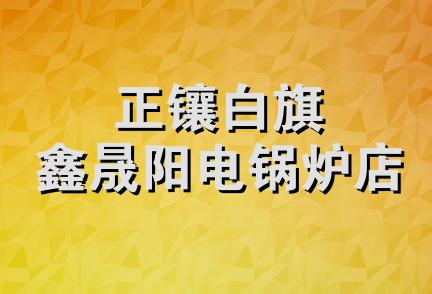 正镶白旗鑫晟阳电锅炉店