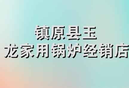 镇原县玉龙家用锅炉经销店