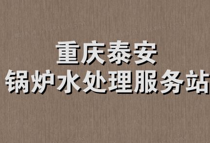 重庆泰安锅炉水处理服务站