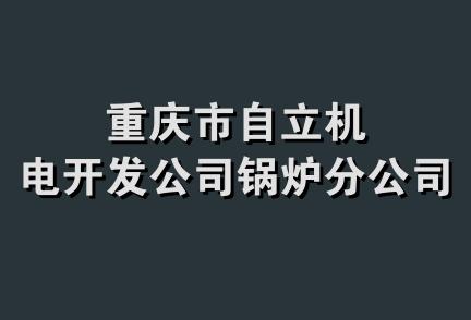 重庆市自立机电开发公司锅炉分公司