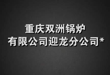 重庆双洲锅炉有限公司迎龙分公司*