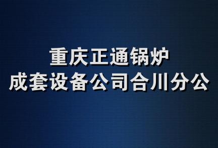 重庆正通锅炉成套设备公司合川分公司