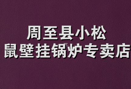 周至县小松鼠壁挂锅炉专卖店