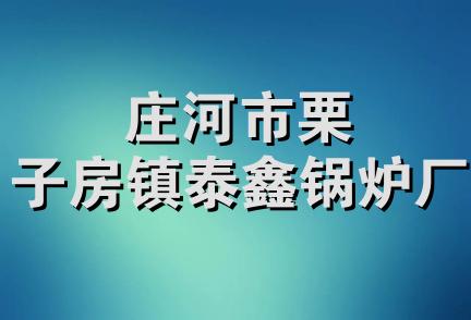 庄河市栗子房镇泰鑫锅炉厂