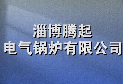 淄博腾起电气锅炉有限公司