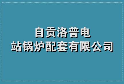 自贡洛普电站锅炉配套有限公司