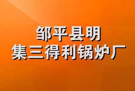 邹平县明集三得利锅炉厂