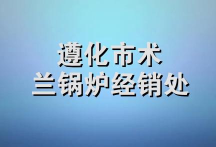 遵化市术兰锅炉经销处