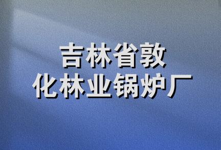 吉林省敦化林业锅炉厂