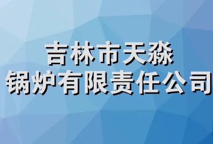 吉林市天淼锅炉有限责任公司