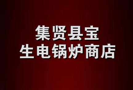 集贤县宝生电锅炉商店