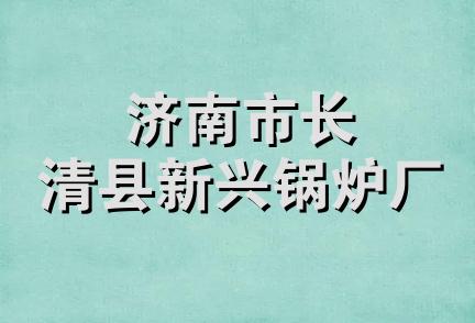 济南市长清县新兴锅炉厂