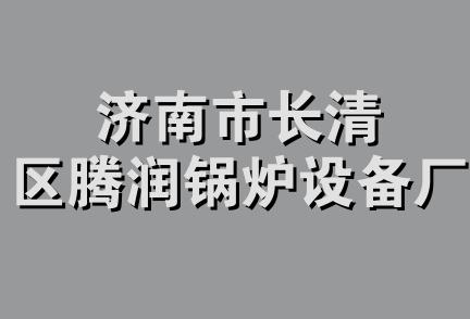 济南市长清区腾润锅炉设备厂