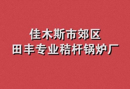 佳木斯市郊区田丰专业秸杆锅炉厂