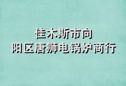 佳木斯市向阳区唐狮电锅炉商行