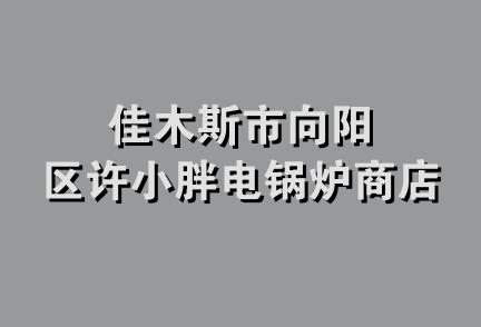 佳木斯市向阳区许小胖电锅炉商店