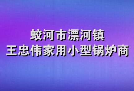 蛟河市漂河镇王忠伟家用小型锅炉商店